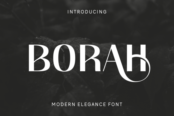 Borah: The Modern Sans Serif Font for Bold Branding