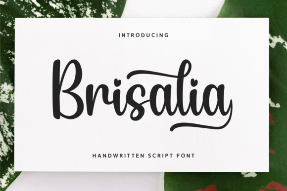 Brisalia: A Playful Script Font for Modern Web Design